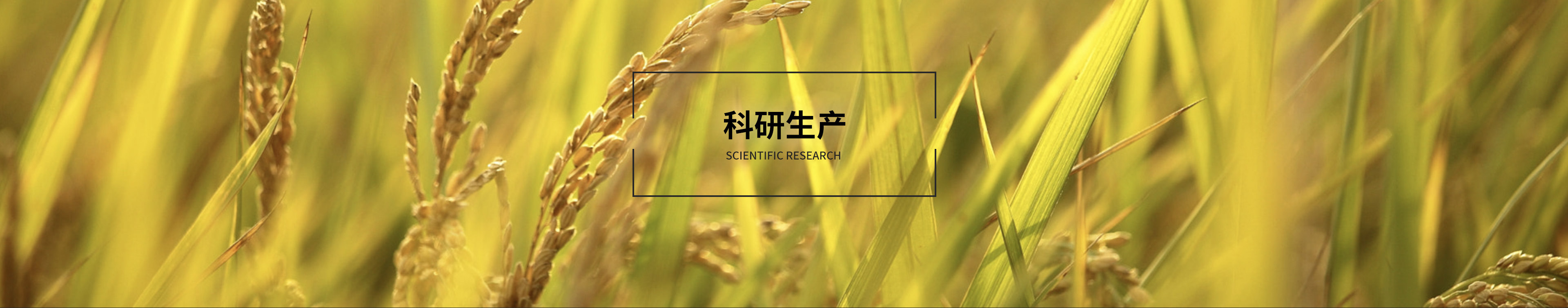 科研生產(chǎn)
