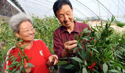 中國農業怎么搞？機遇在哪里？前景如何？