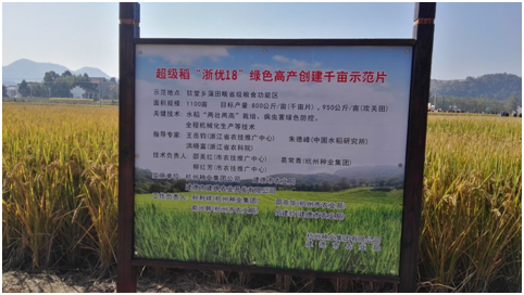 農耕文化在杭種集團水稻高產示范方舞動3.png