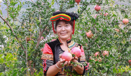 1.1億單助力新農(nóng)業(yè)，拼多多農(nóng)貨節(jié)帶動(dòng)500農(nóng)產(chǎn)區(qū)直連5億消費(fèi)者