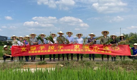 支部手拉手、發展心連心  市國資委與杭州種業集團開展基層黨建共建活動