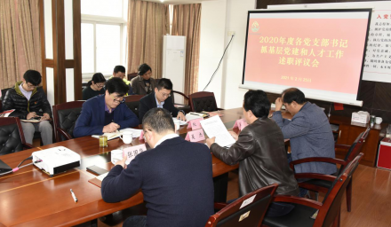 集團公司召開2020年度黨支部書記抓基層黨建和人才工作述職評議會