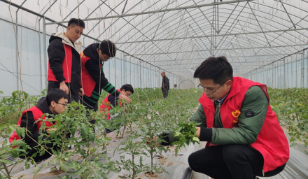 杭州種業集團利豐志愿者服務隊學雷鋒助春耕
