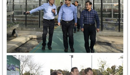 全國農業(yè)技術推廣服務中心副主任劉信到我司考察指導