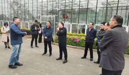 嘉興市政協(xié)農業(yè)和農村委主任陳國華 赴杭種集團徑山基地調研