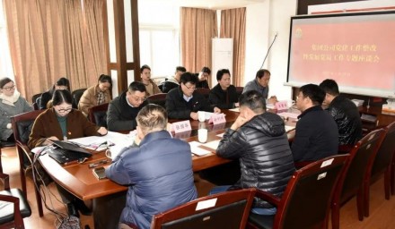 集團公司召開黨建工作整改暨發展黨員工作專題座談會