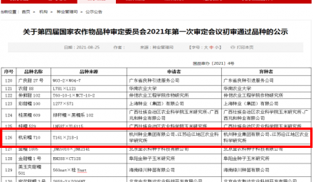 種業(yè)振興在行動 | 又一項“零的突破”！杭州種業(yè)集團聯(lián)合研發(fā)的鮮食糯玉米新品種‘杭彩糯710’通過國家級初審