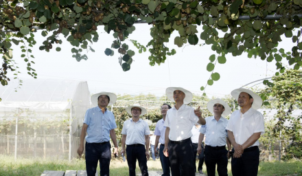 市政協(xié)黨組副書記、副主席張仲燦赴集團公司走訪調(diào)研