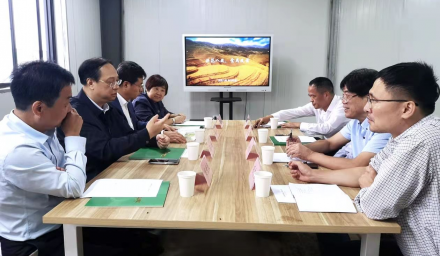 市領導王宏一行調研集團種業創新工作