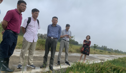 市區聯合開展種子生產基地檢查和產地檢疫