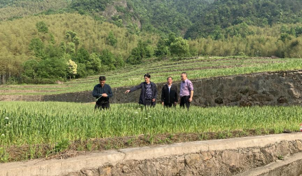 種業(yè)振興在行動 | 孫利祥帶隊(duì)謀劃打造2022年“共富”產(chǎn)業(yè)樣板