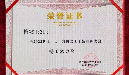 杭州種業(yè)集團糯玉米品種杭糯玉21再獲金獎