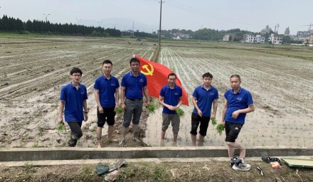 助力共富 | 杭州種業(yè)集團“種?豐收”服務隊田間地頭戰(zhàn)“三夏”