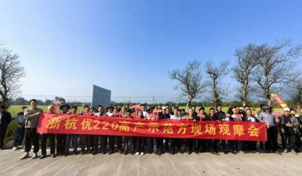 以禾為鑒，選種增收 | 杭種集團(tuán)“浙杭優(yōu)”系列雜交稻繪就豐收盛景